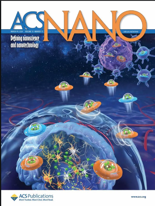 小鼠粒細(xì)胞集落刺激因子(G-CSF)ELISA試劑盒